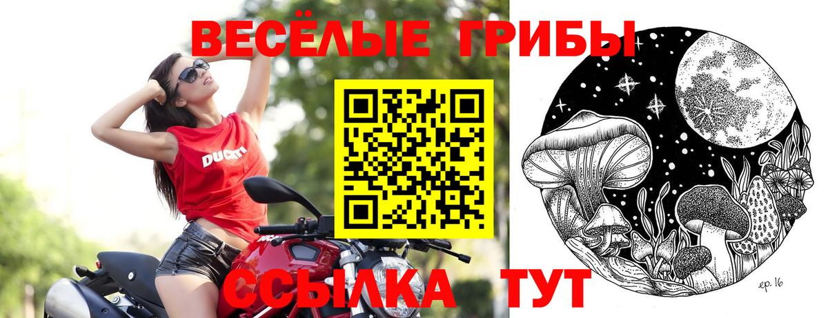 закладки  Вход с VPN  Симферополь  Галлюциногенные грибы мухоморы  Псилоцибиновые грибы Psilocybe 