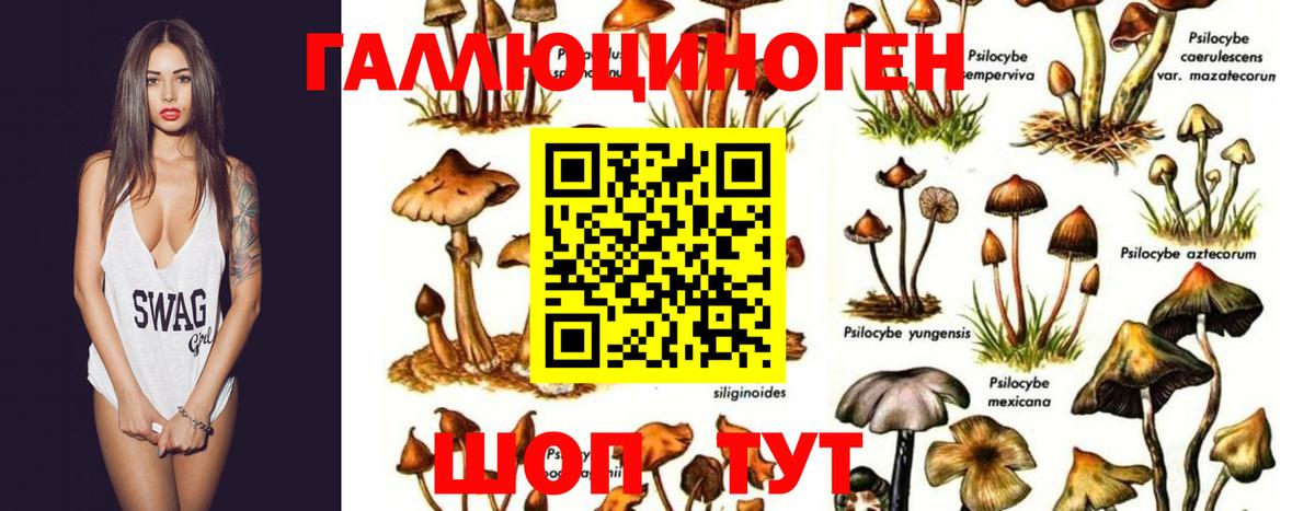 Галлюциногенные грибы мухоморы Симферополь